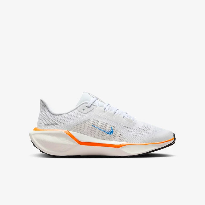 Air Zoom Pegasus 41 Fb