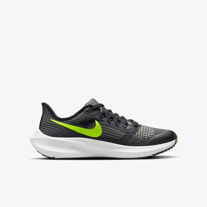 Air Zoom Pegasus 39