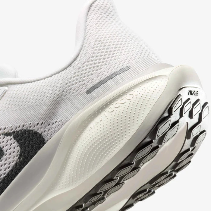 Pegasus 41