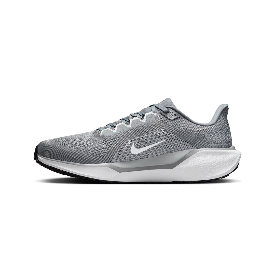 Pegasus 41