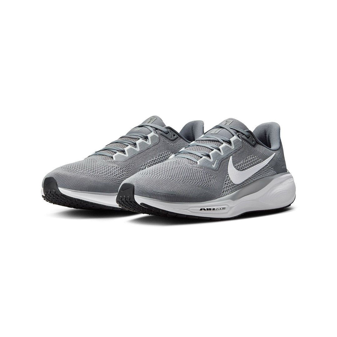 Pegasus 41