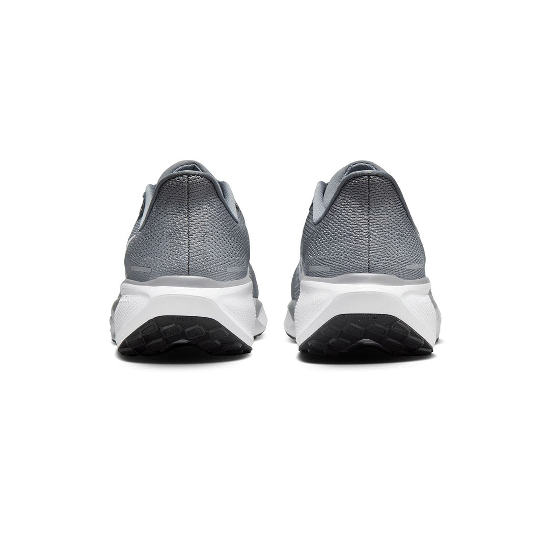 Pegasus 41