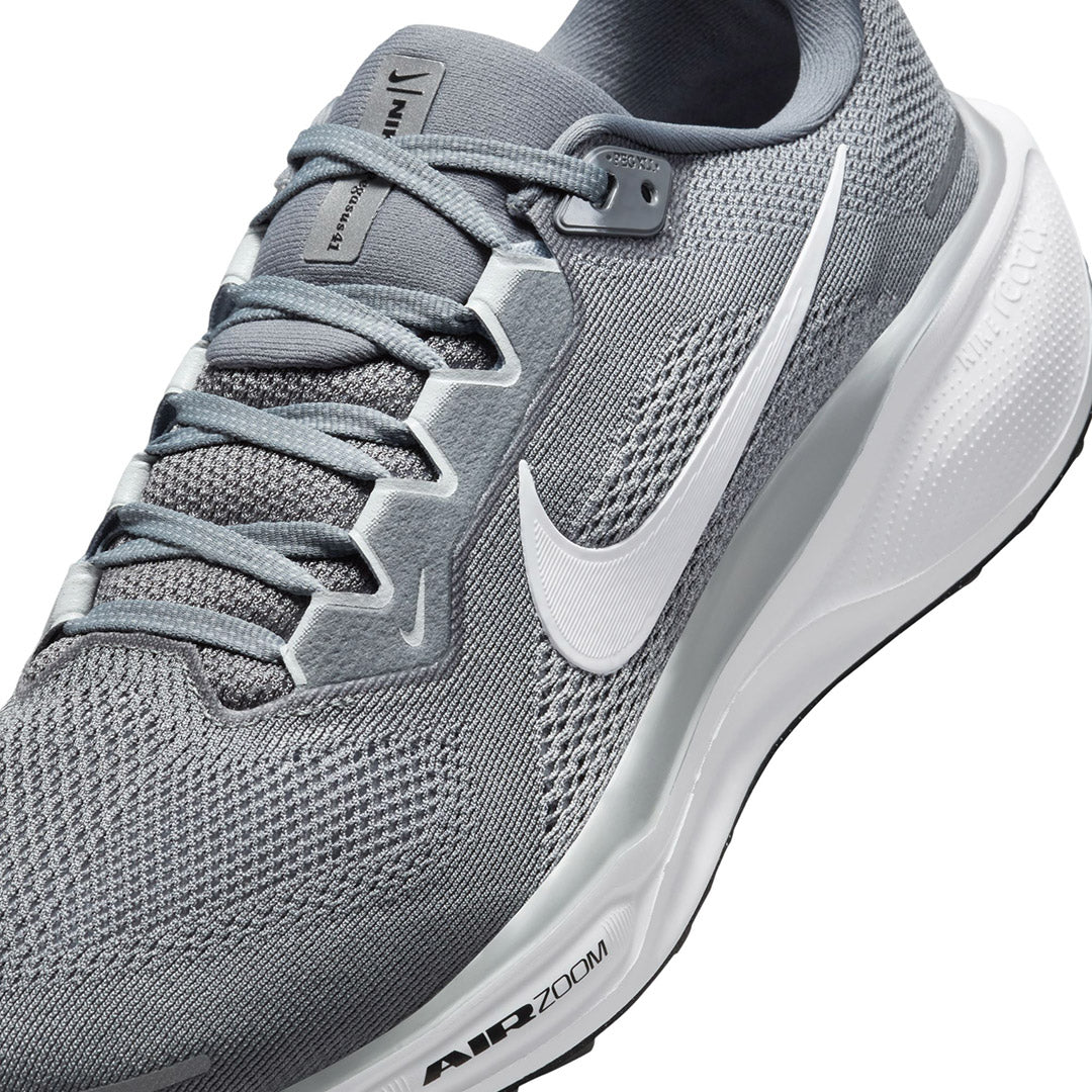 Pegasus 41