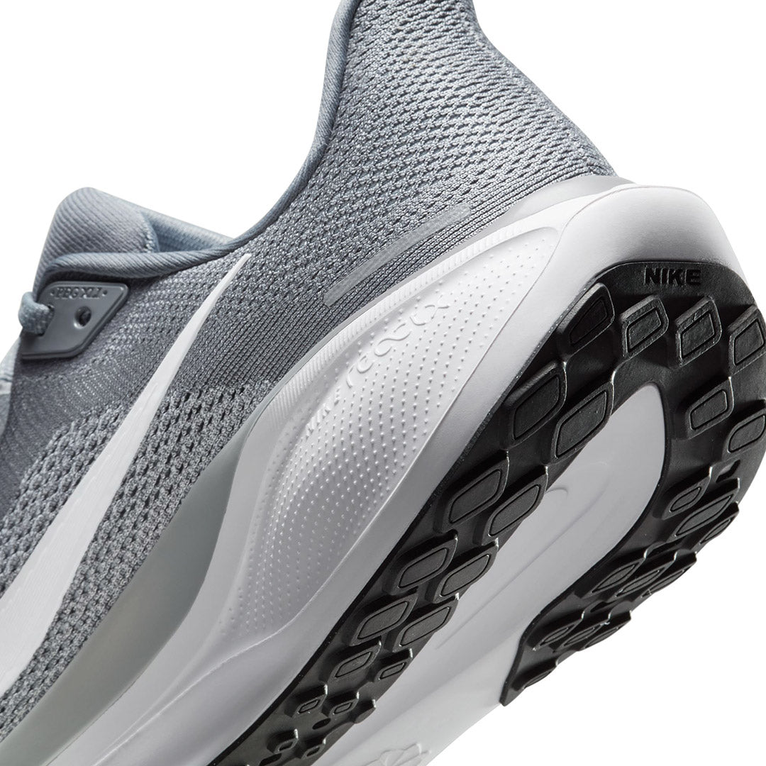 Pegasus 41