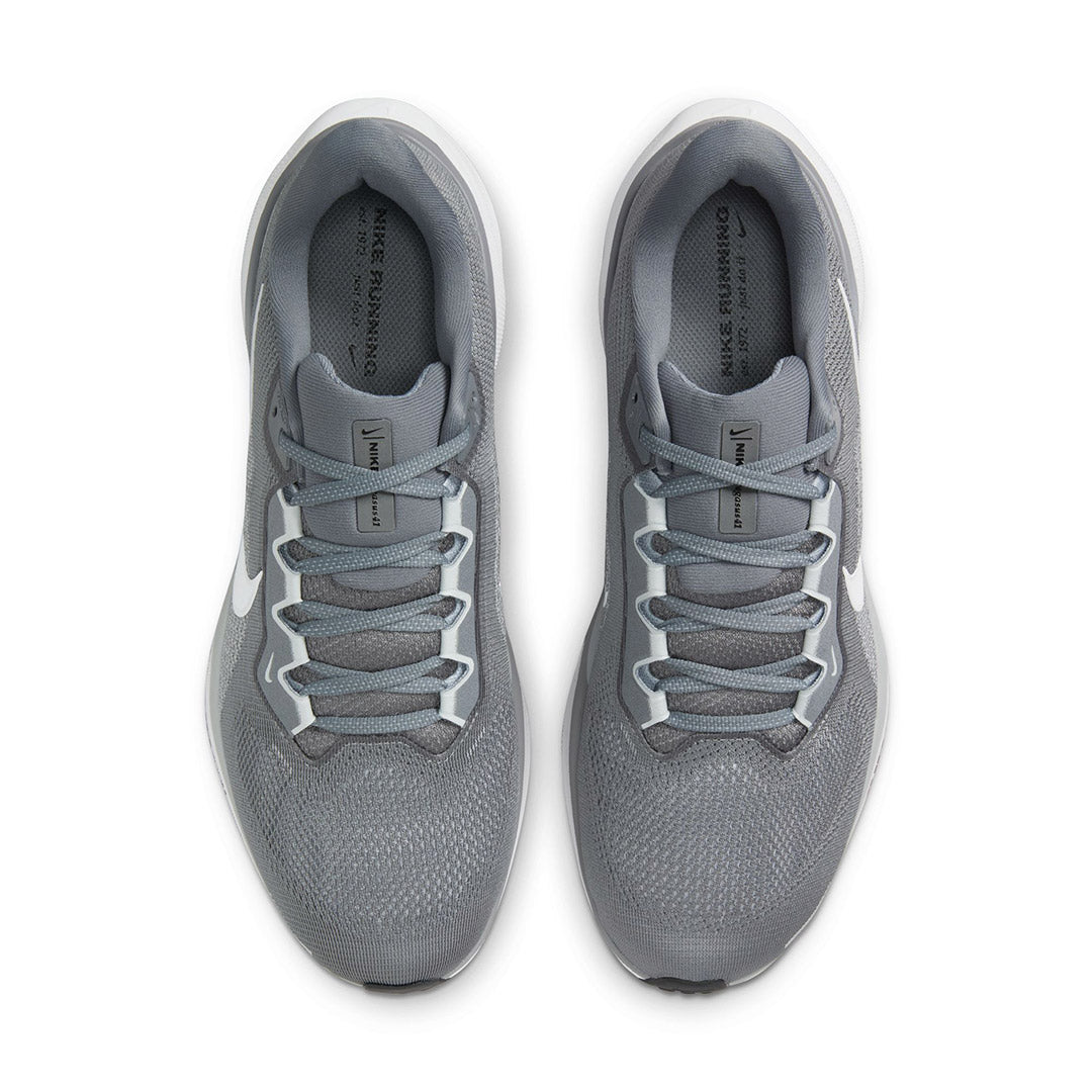 Pegasus 41