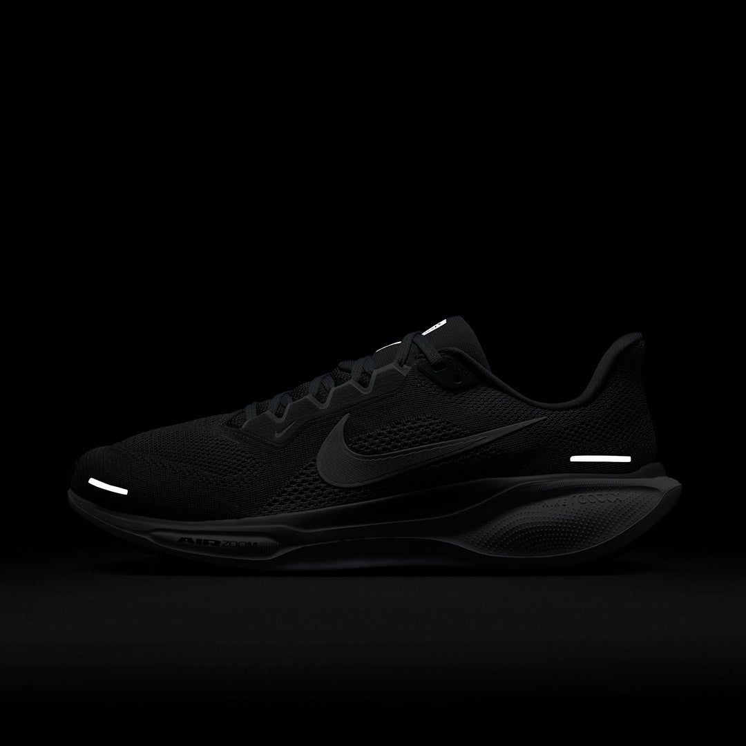 Pegasus 41