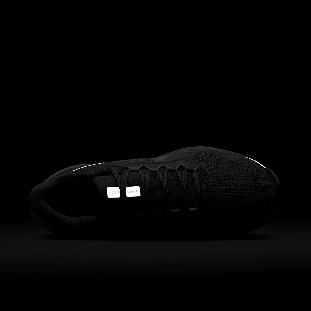 Pegasus 41