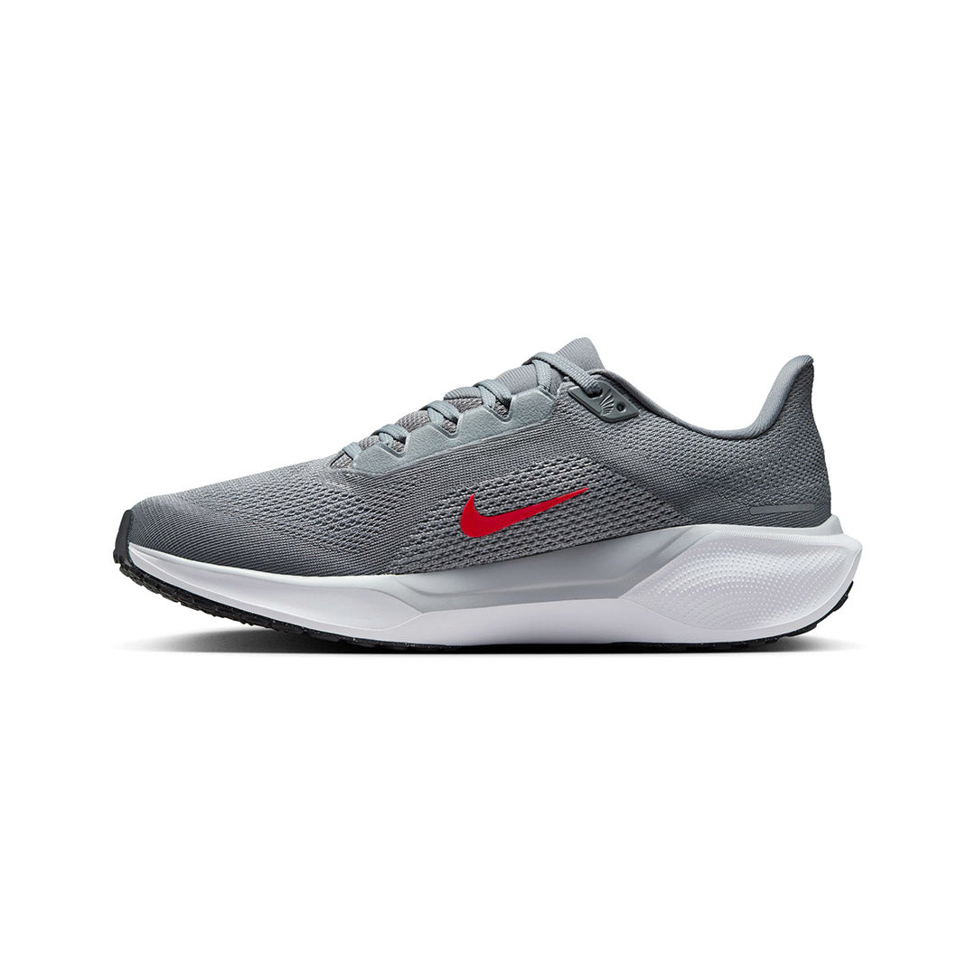 Pegasus 41