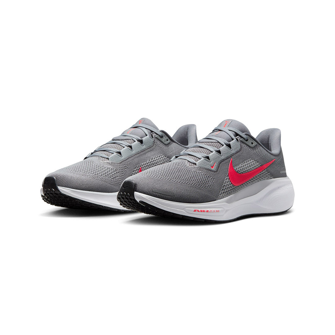 Pegasus 41