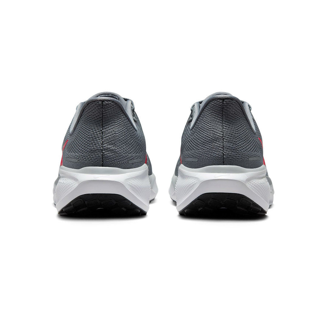 Pegasus 41