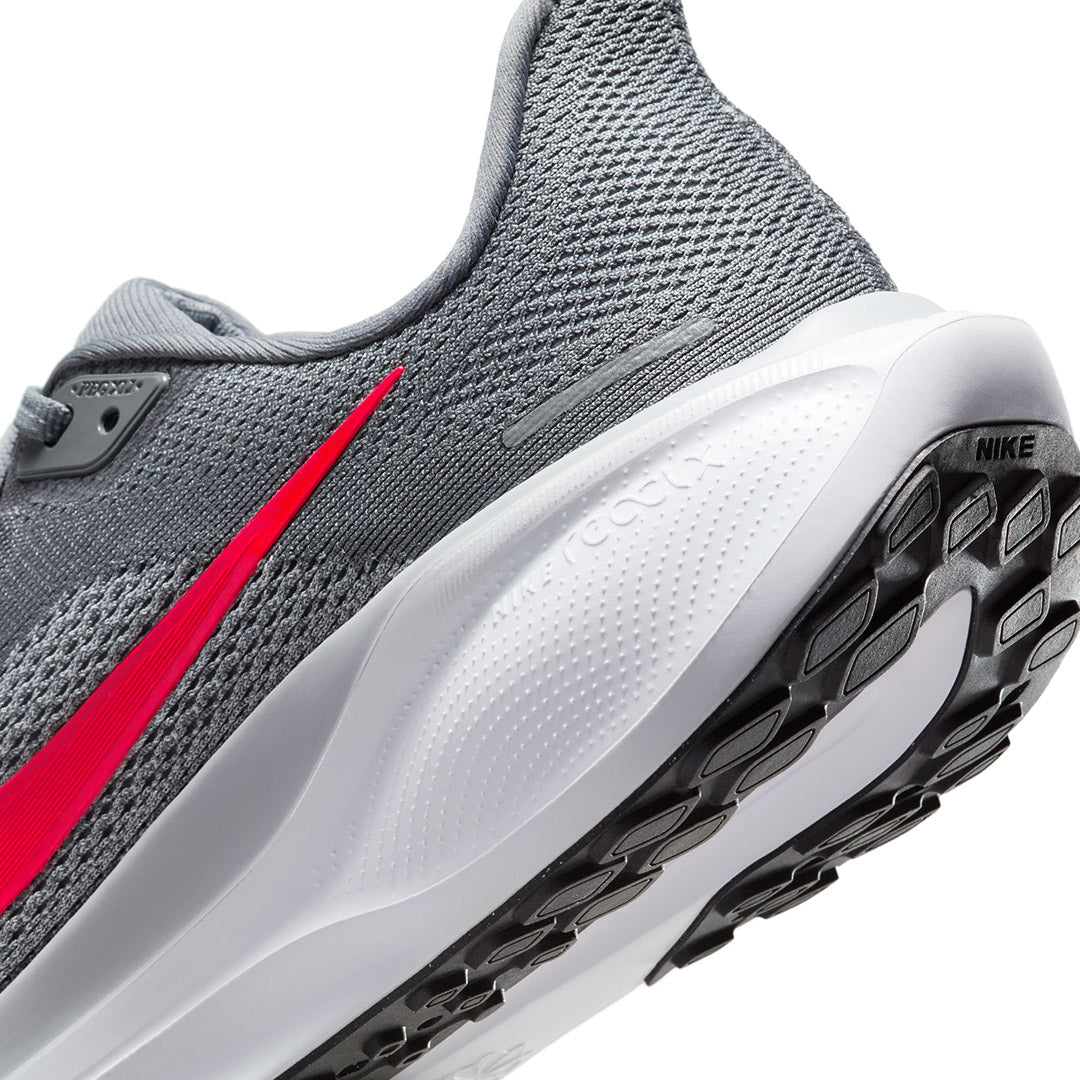 Pegasus 41
