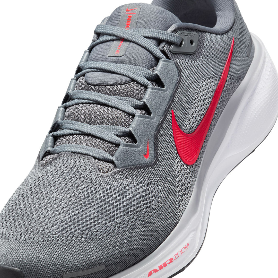 Pegasus 41