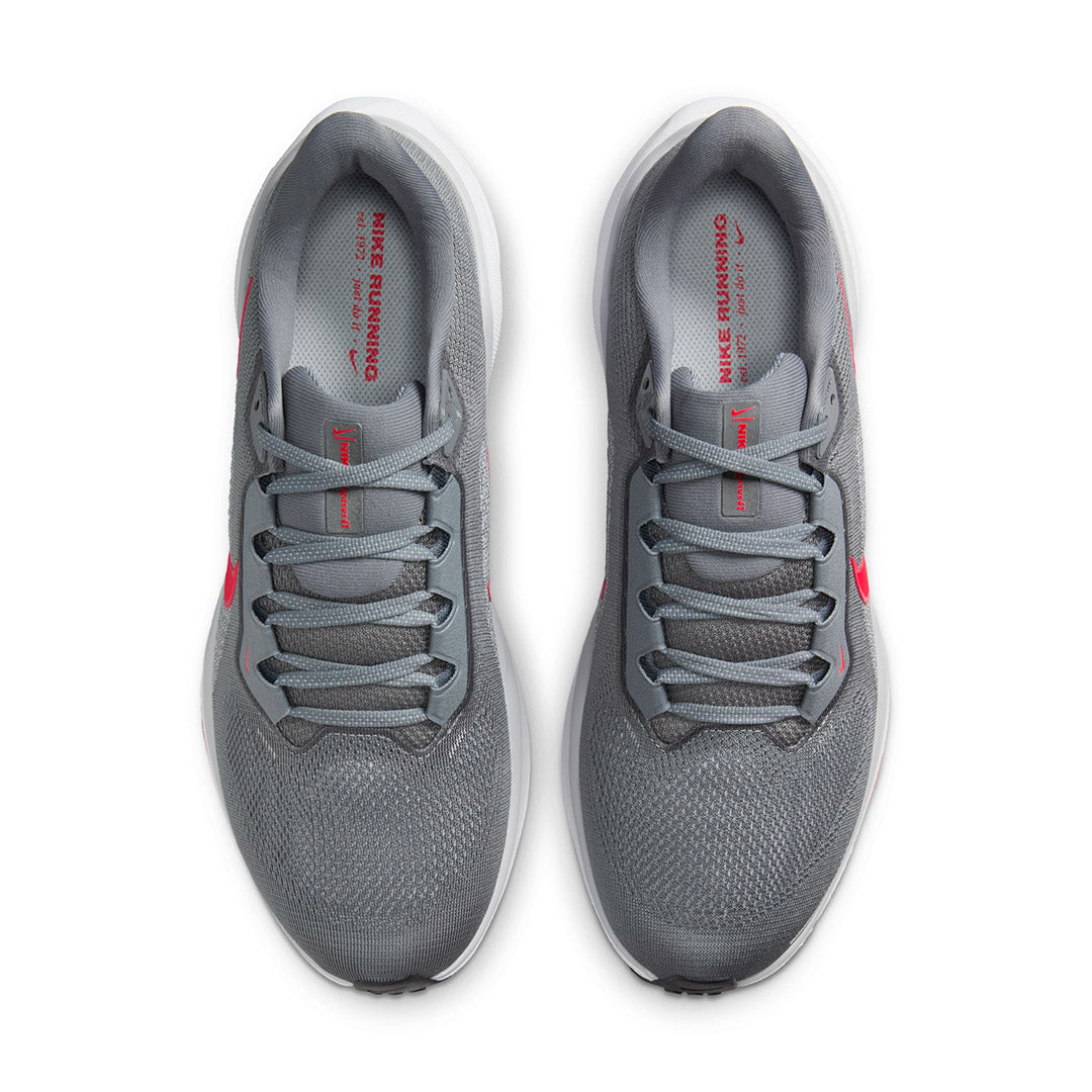 Pegasus 41