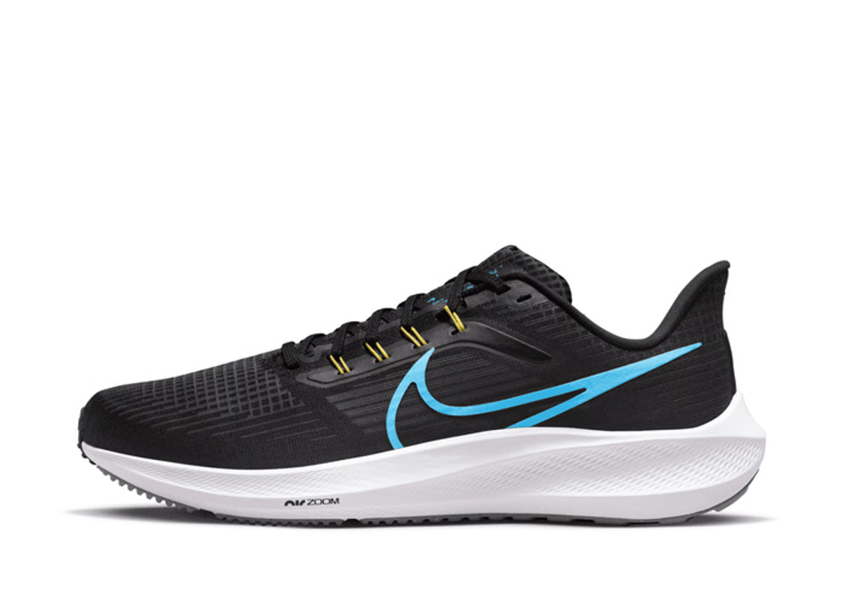 Air zoom pegasus 39
