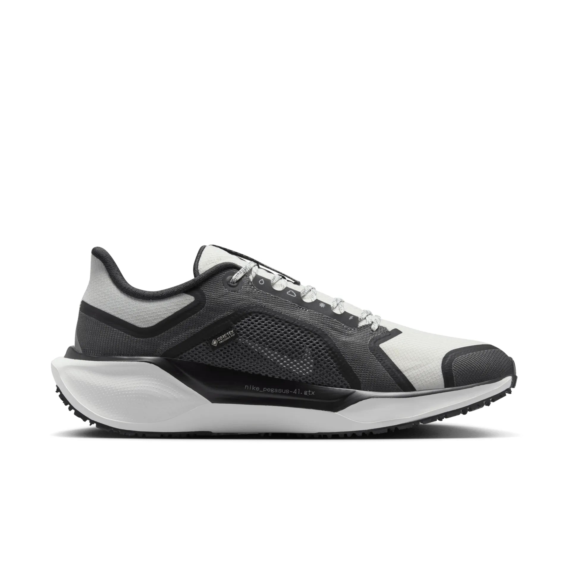 Air Zoom Pegasus 41 Gtx