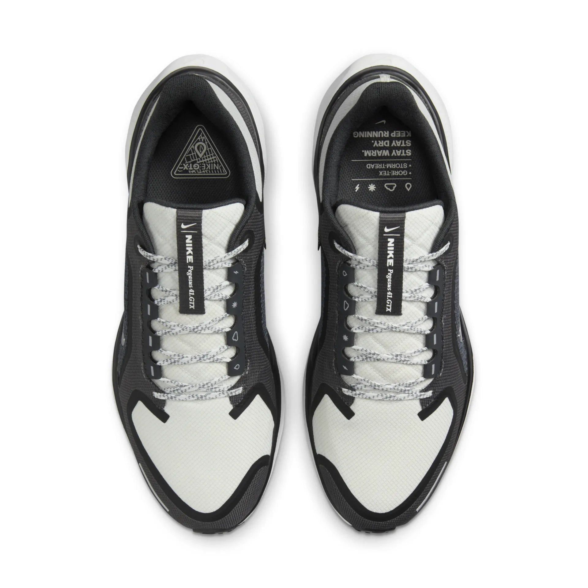 Air Zoom Pegasus 41 Gtx