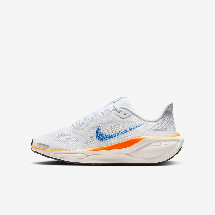 Air Zoom Pegasus 41 Fb