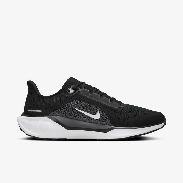 Pegasus 41