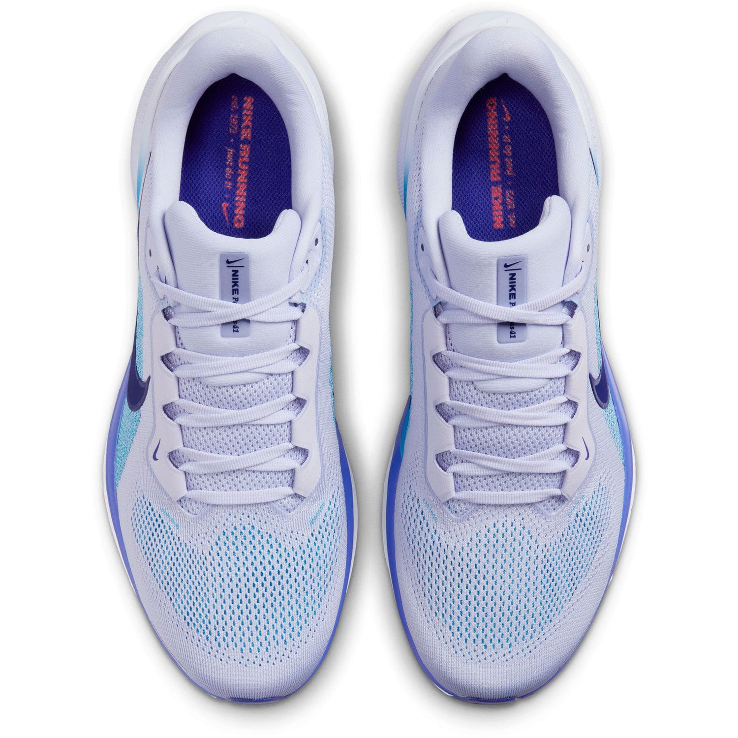 Air Zoom Pegasus 41
