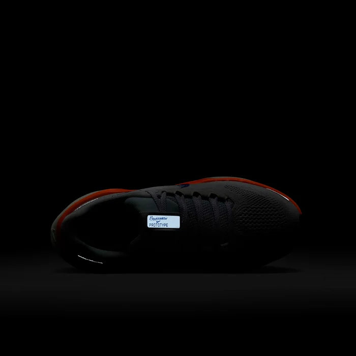 Air Zoom Pegasus 41 Fb