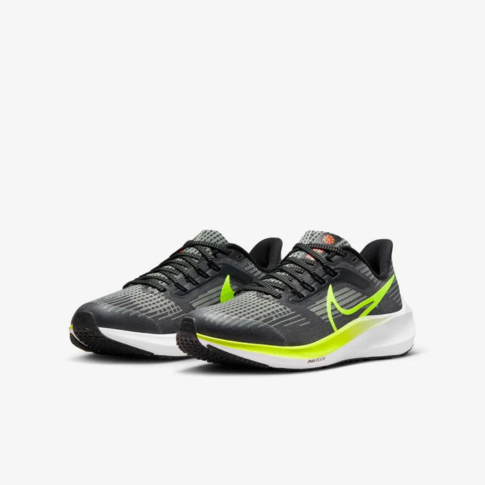 Air Zoom Pegasus 39