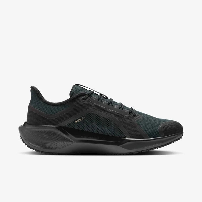 Pegasus 41 Gtx