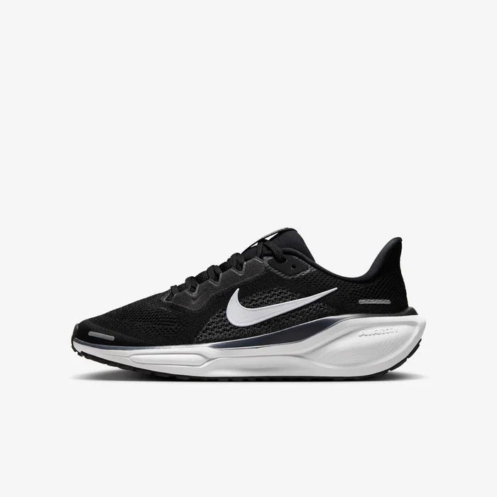 Air ZoomPegasus 41