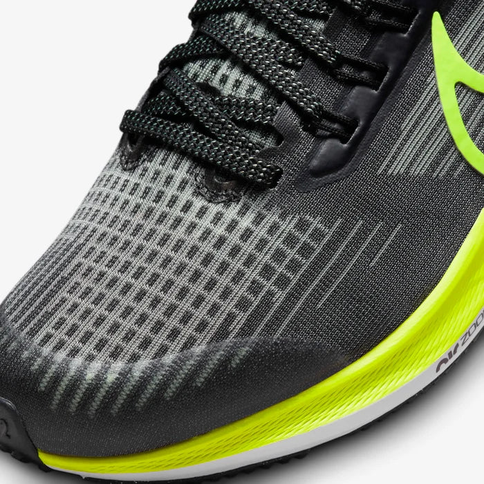Air Zoom Pegasus 39