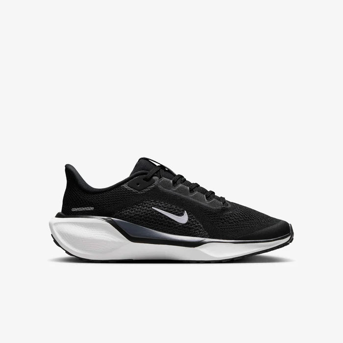 Air ZoomPegasus 41