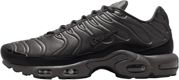 Nike Air Max Plus Premium Paris