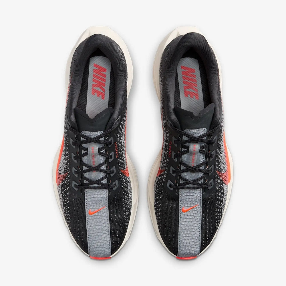 Pegasus Plus
