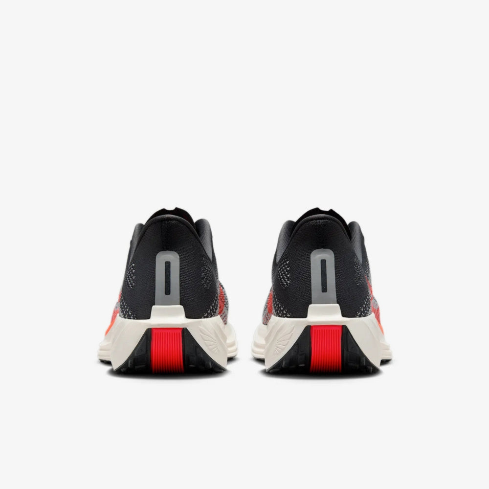 Pegasus Plus
