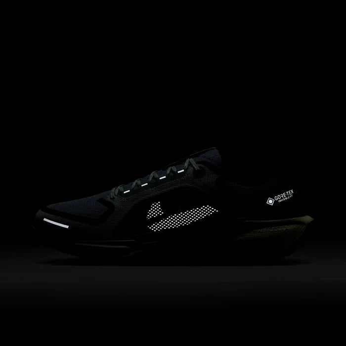 Pegasus 41 Gtx