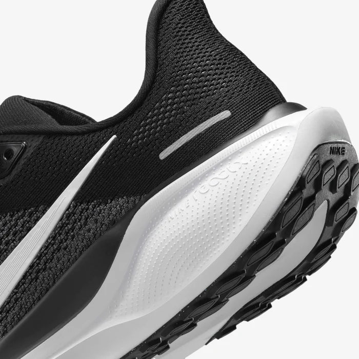 Pegasus 41