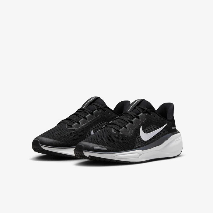 Air ZoomPegasus 41