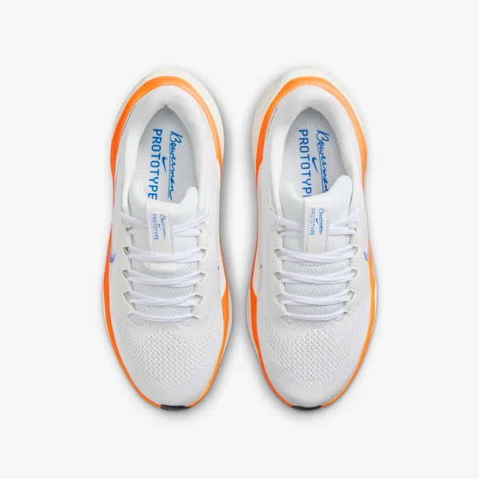 Air Zoom Pegasus 41 Fb