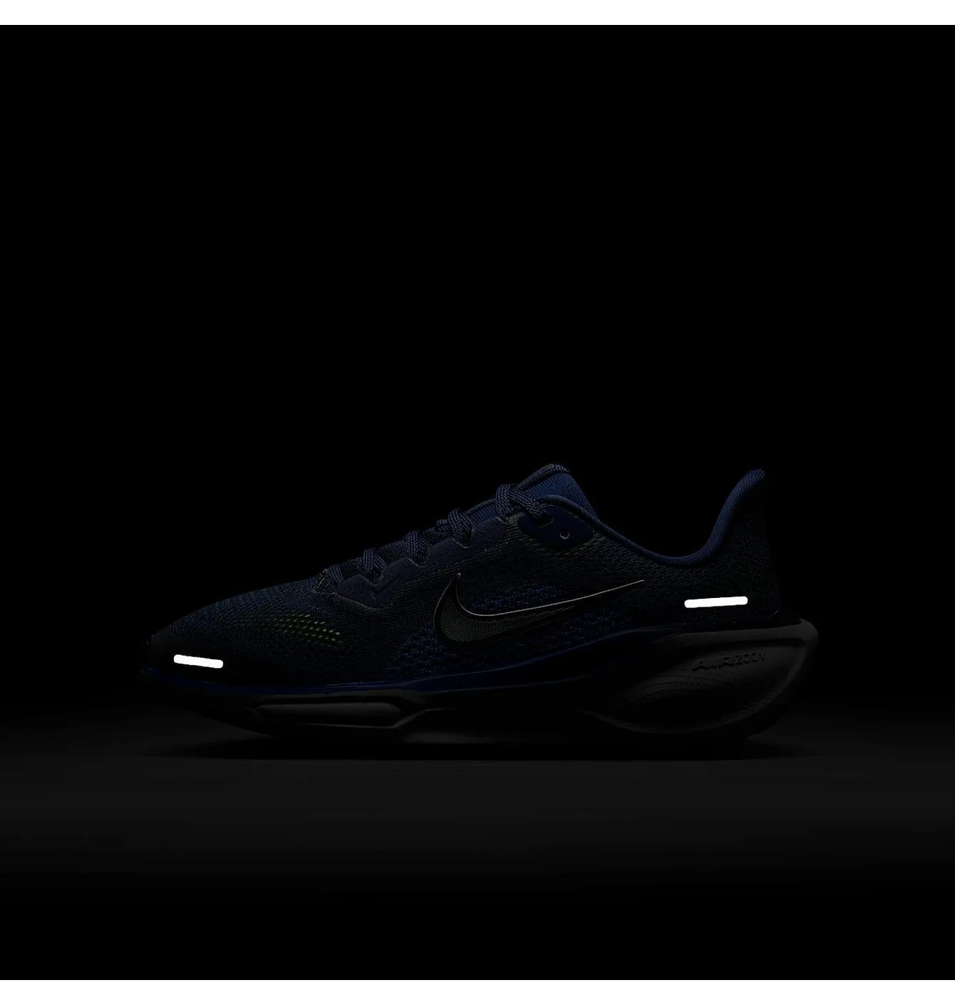 Air Zoom Pegasus 41