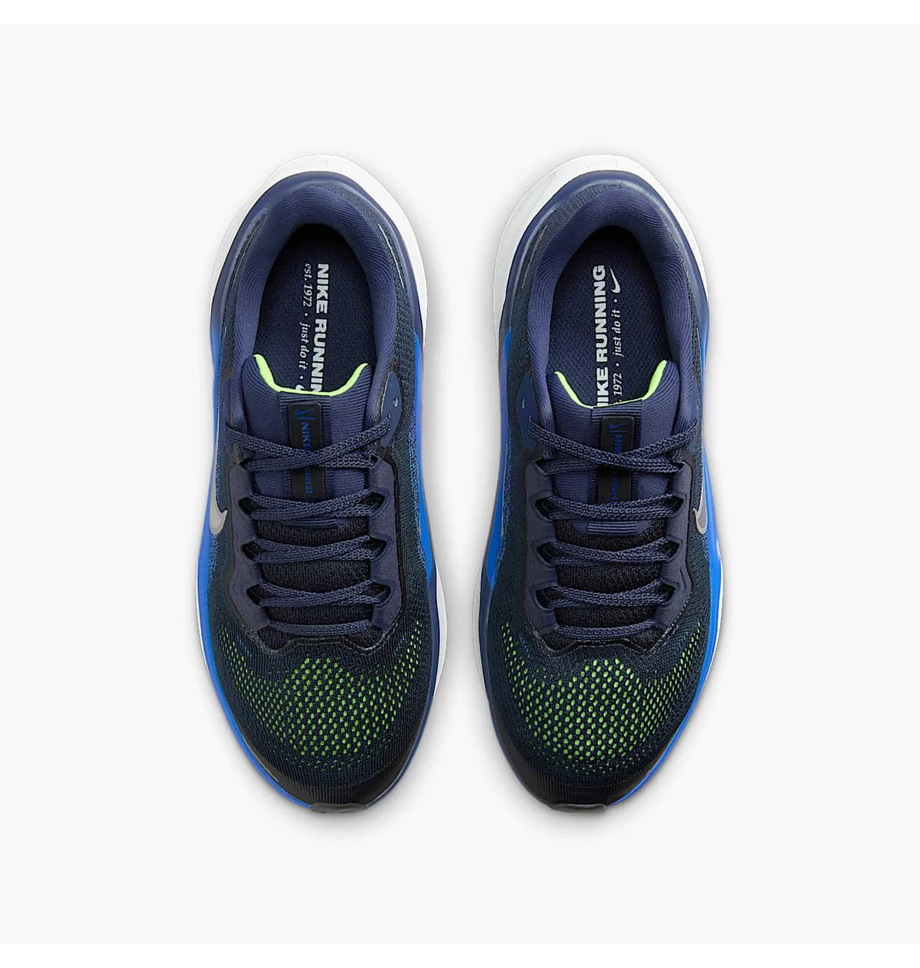 Air Zoom Pegasus 41