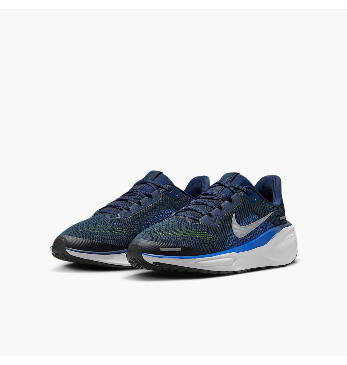Air Zoom Pegasus 41