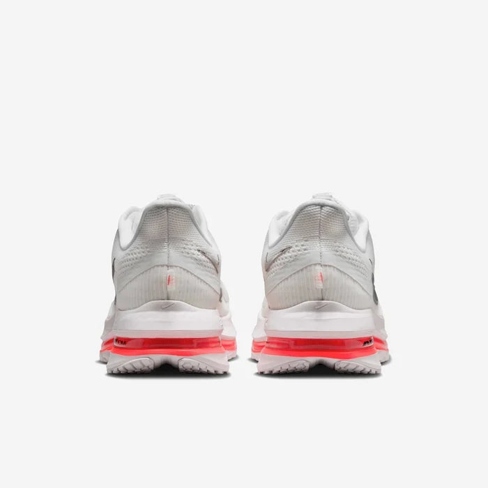 Pegasus premium
