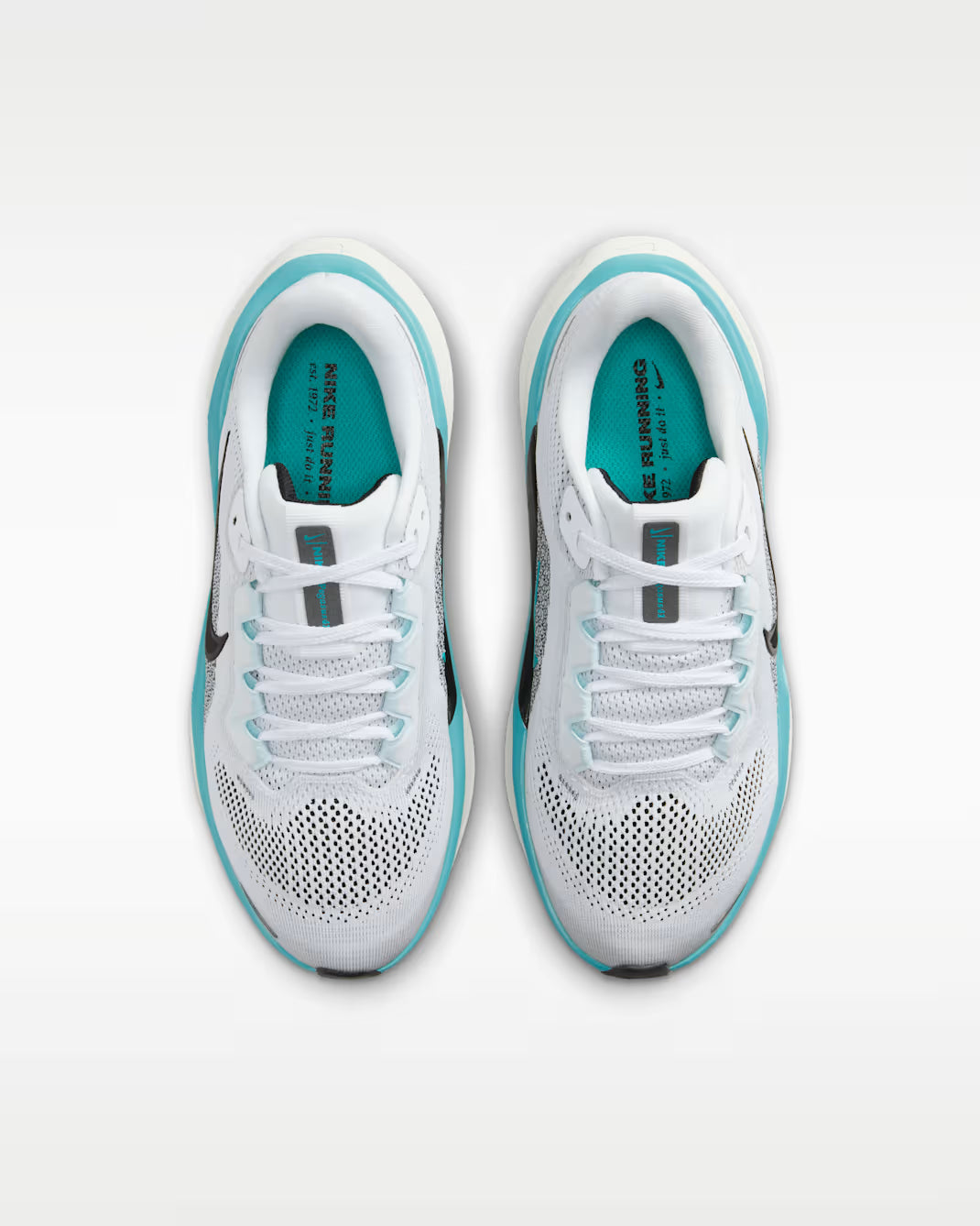 Air Zoom Pegasus 41