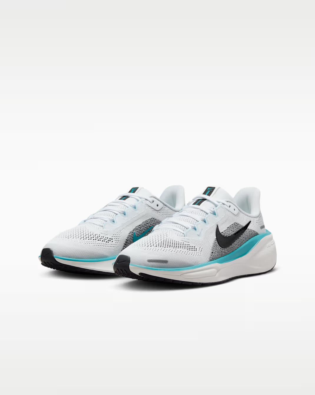 Air Zoom Pegasus 41