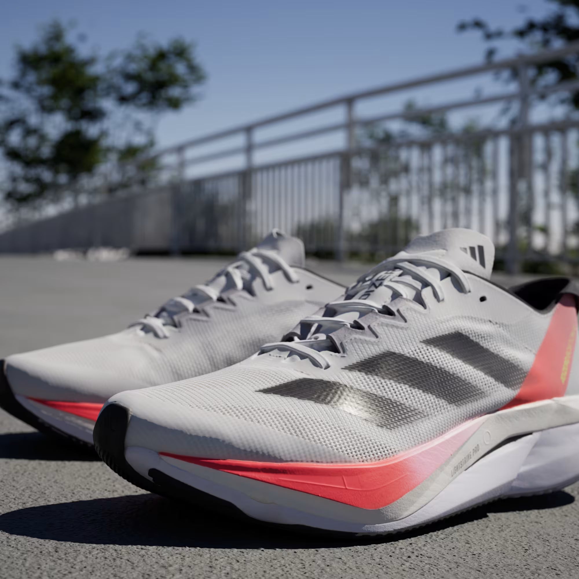 Adizero Boston 12
