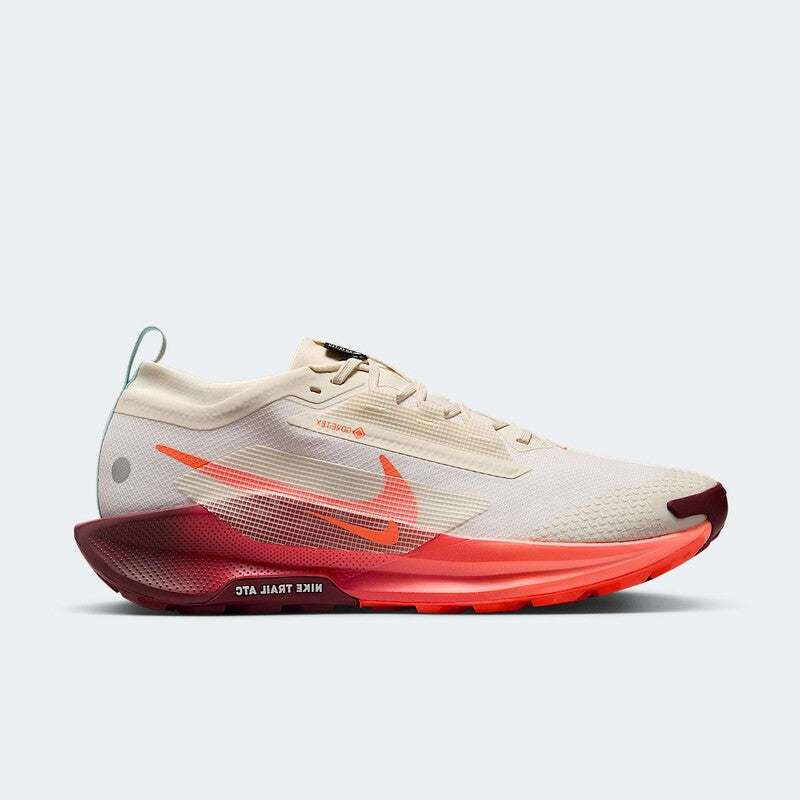 Pegasus Trail 5 GTX