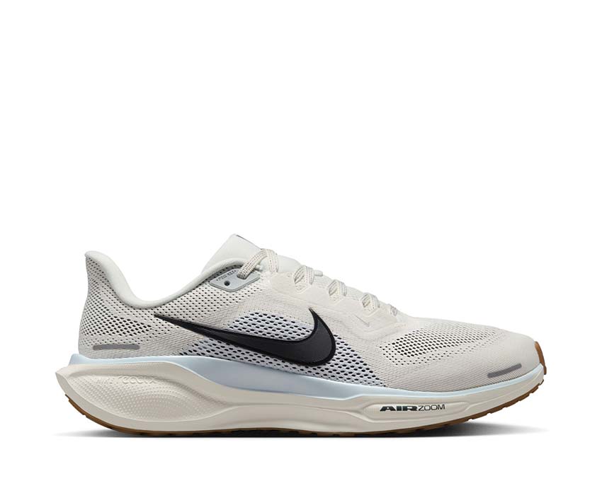 Pegasus 41
