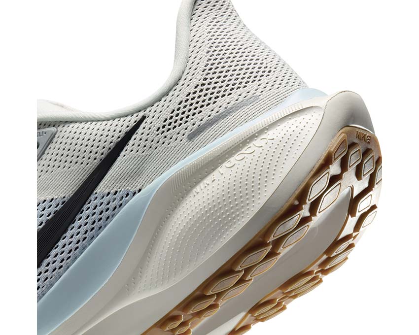 Pegasus 41