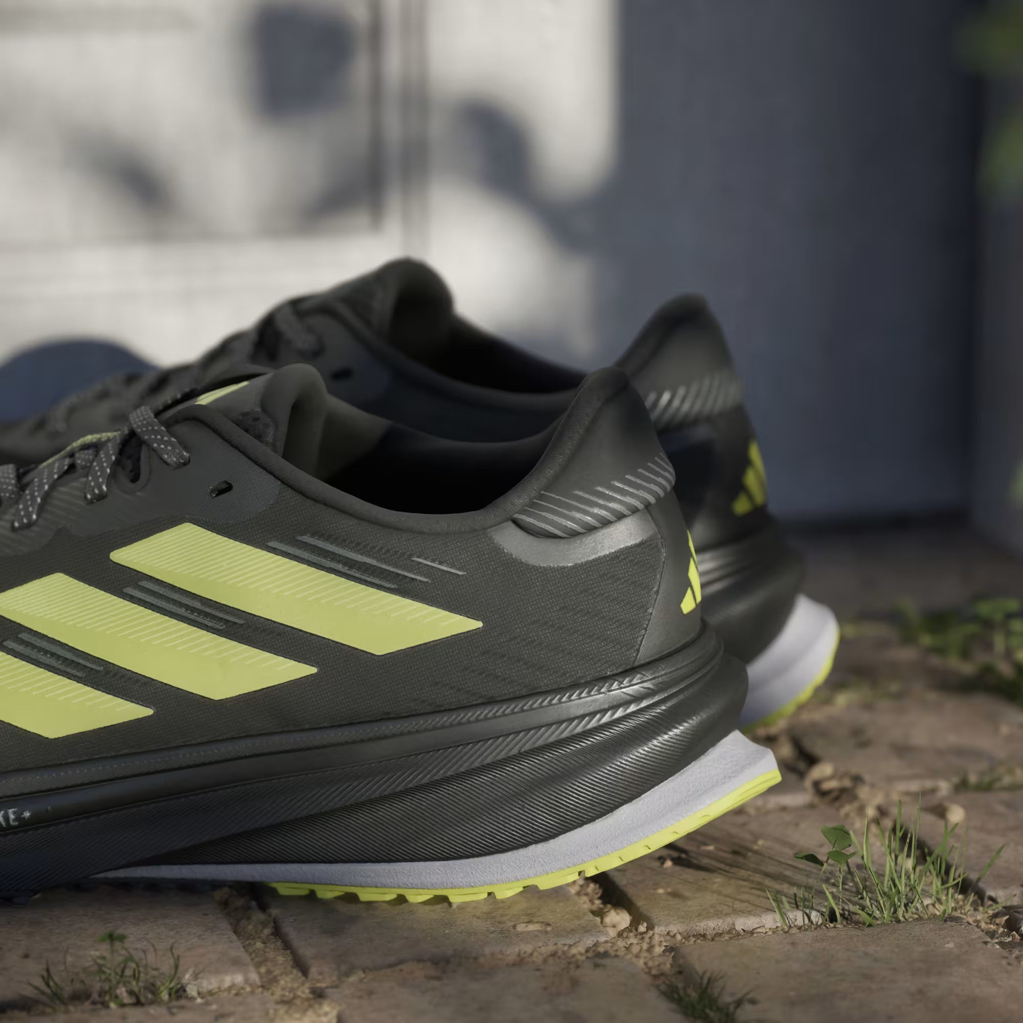 Supernova rise GTX M