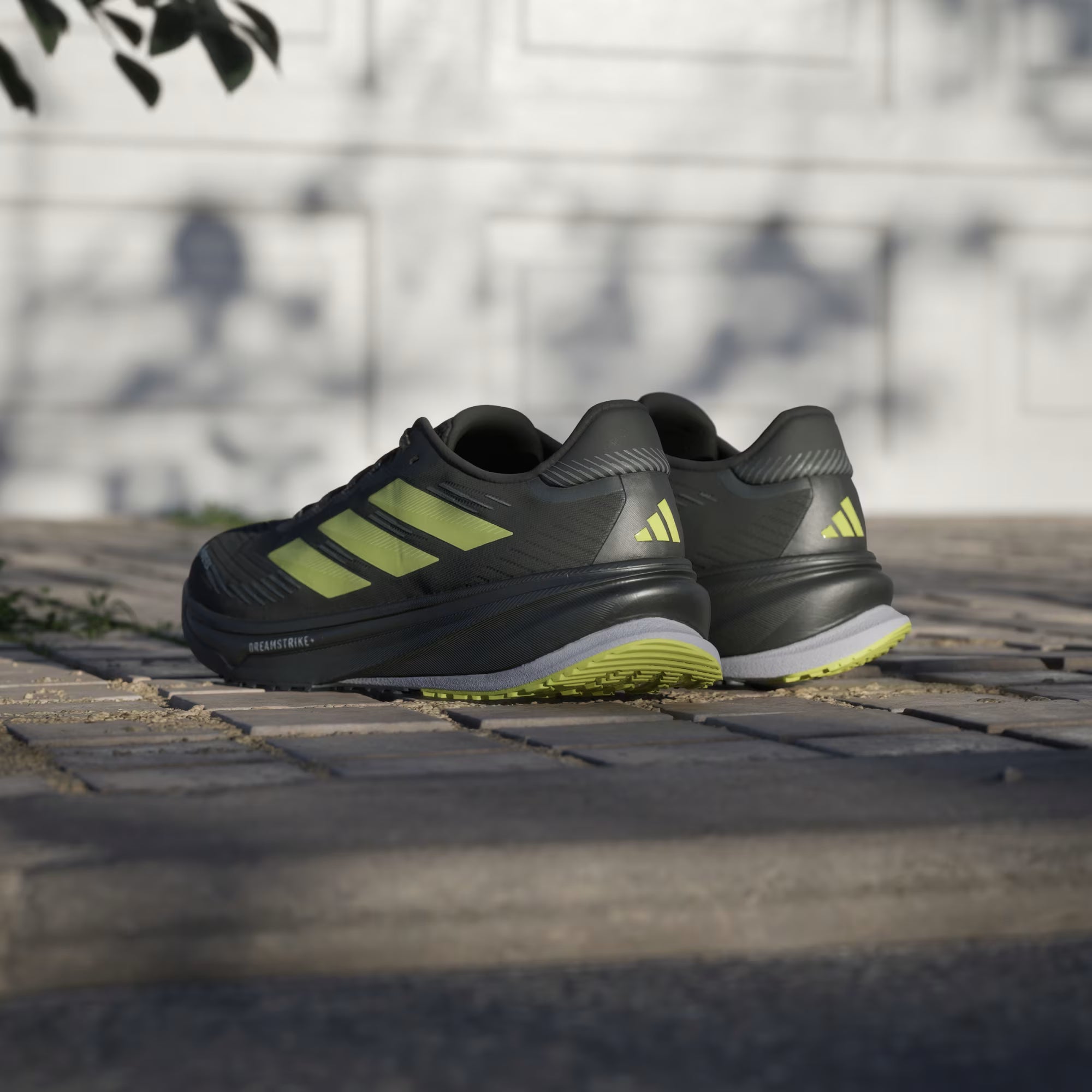 Supernova rise GTX M