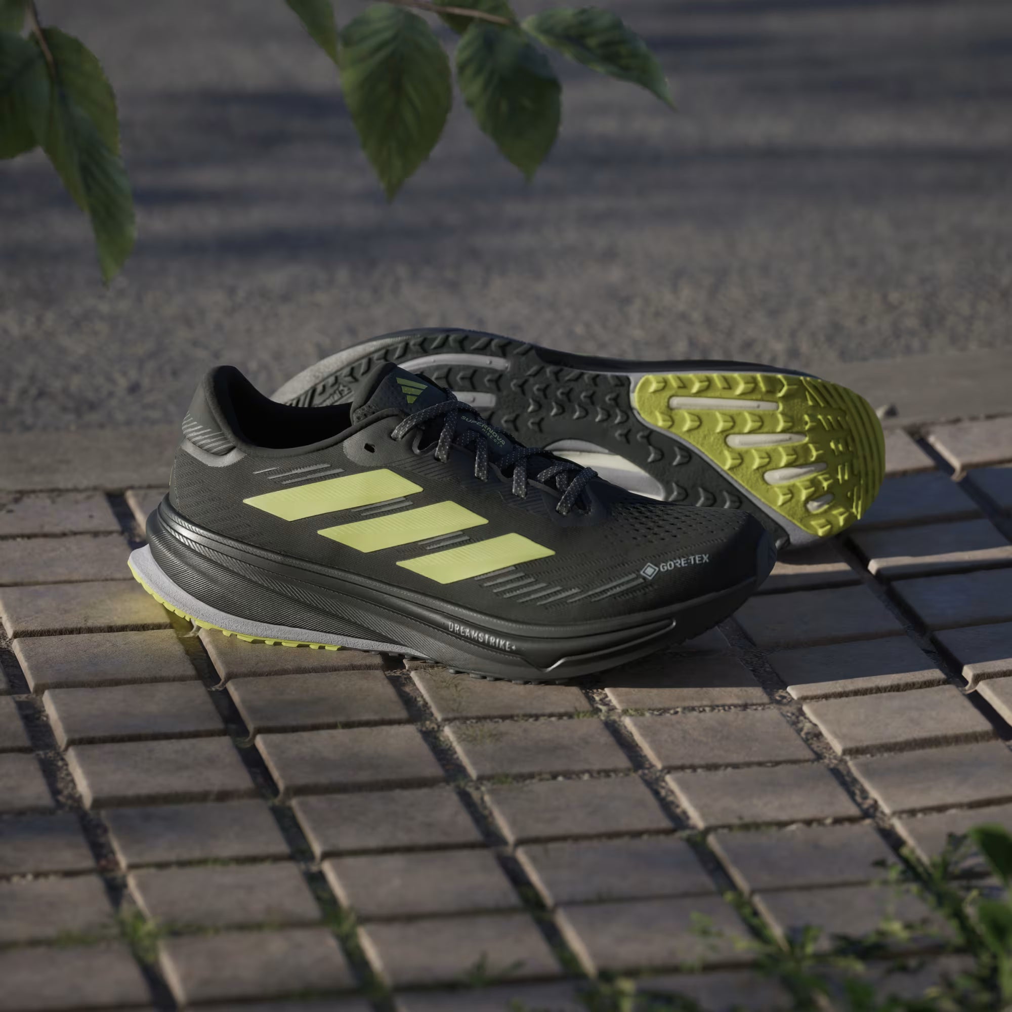 Supernova rise GTX M