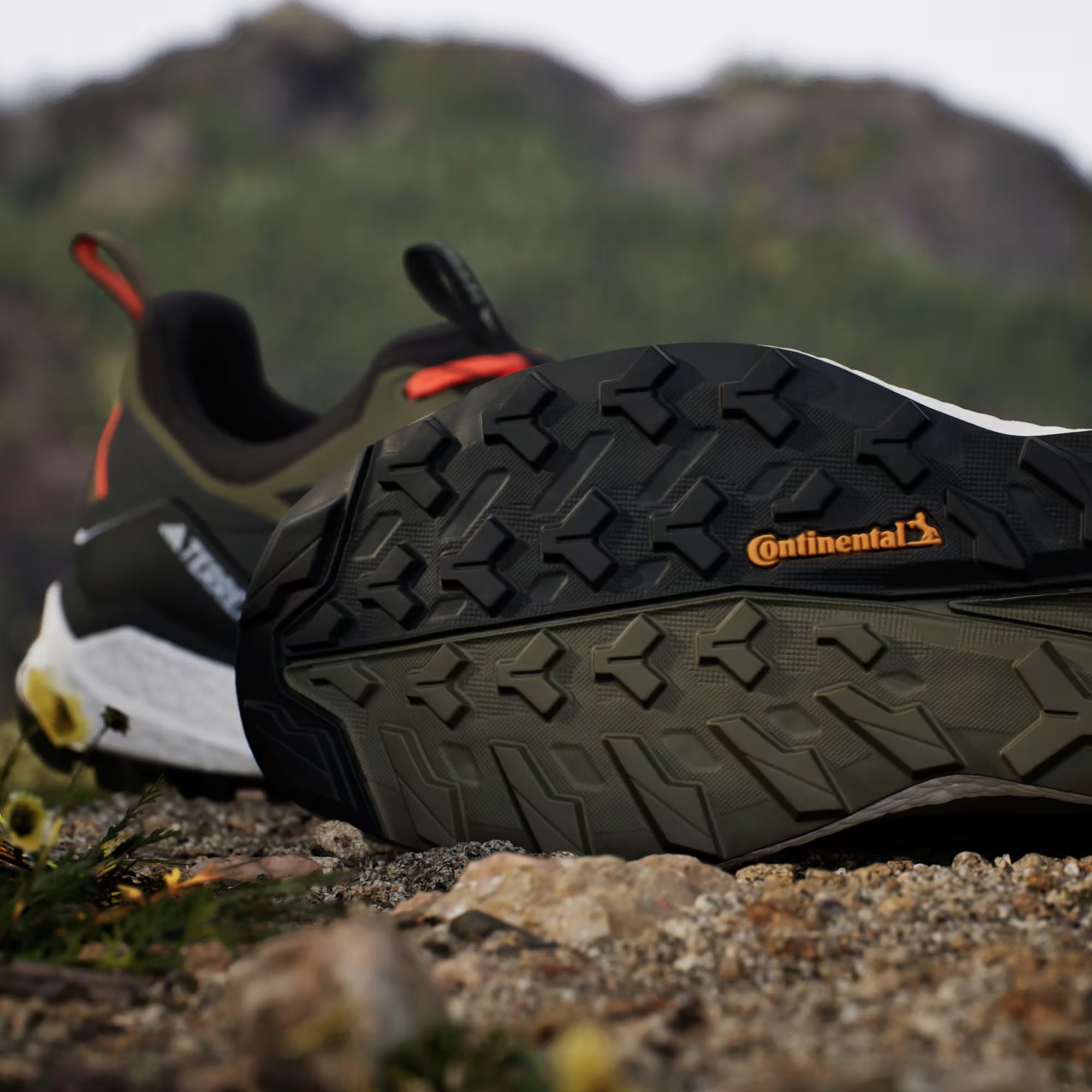 Terrex/Gore-Tex